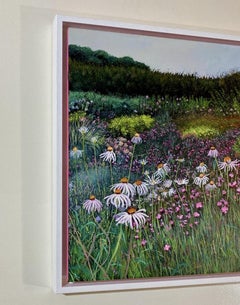 Summer Pinks - Landscape, flowers, nature, countryside