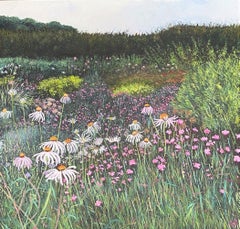 Summer Pinks - Landscape, flowers, nature, countryside