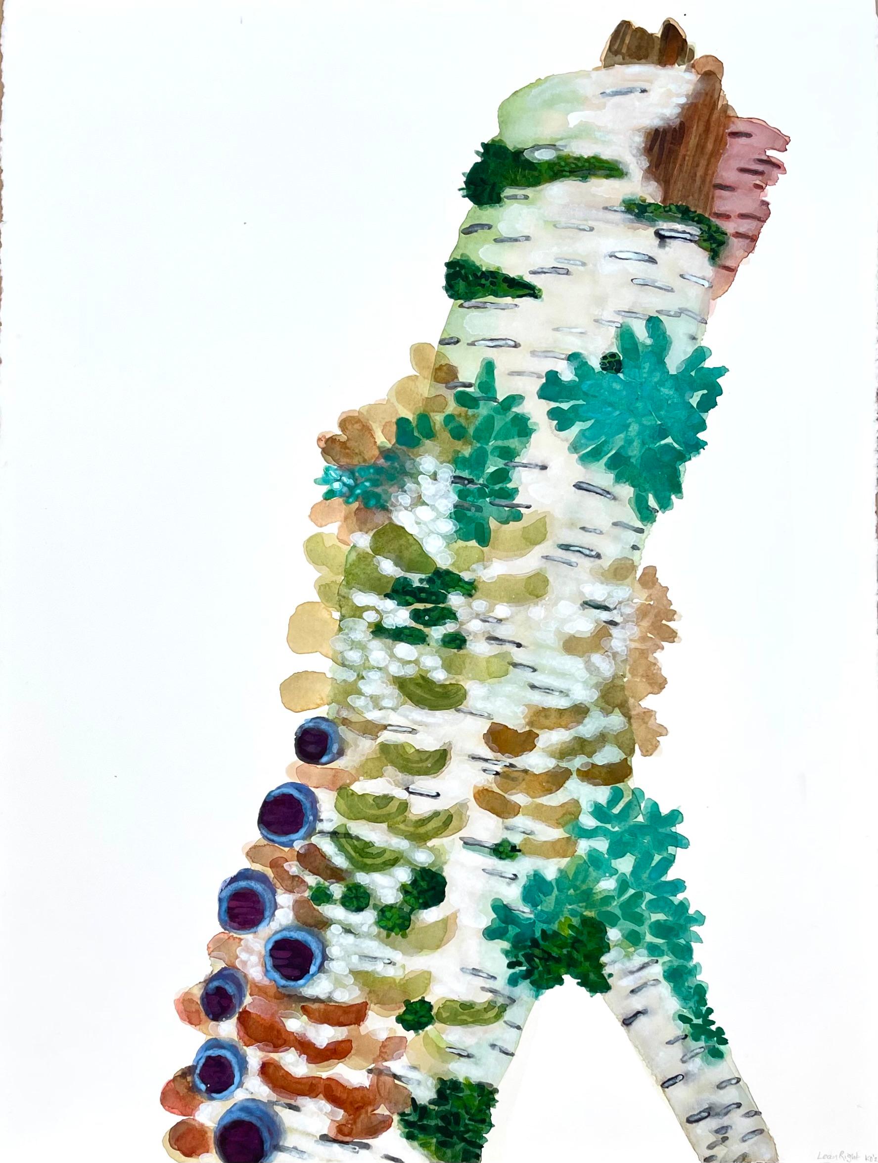 When we think of a tree we usually envision an image of a perfectly pruned tree, balanced and symmetrical. In nature those rarely exist. Trees are individuals. Trees grow to survive, they adapt to their given environment, growing into strange