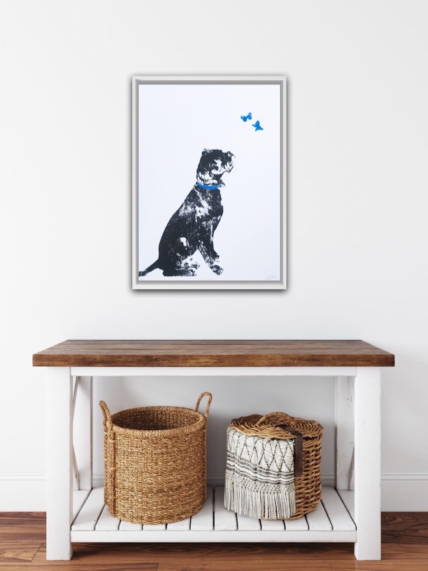 ‘Curious’ original silkscreen print.
A Boxer dog watching some blue butterflies fluttering above his head.
50 prints were made and each one is completely unique. Signed and hand printed by the artist Katie Edwards.
Sold unframed
Please note that in