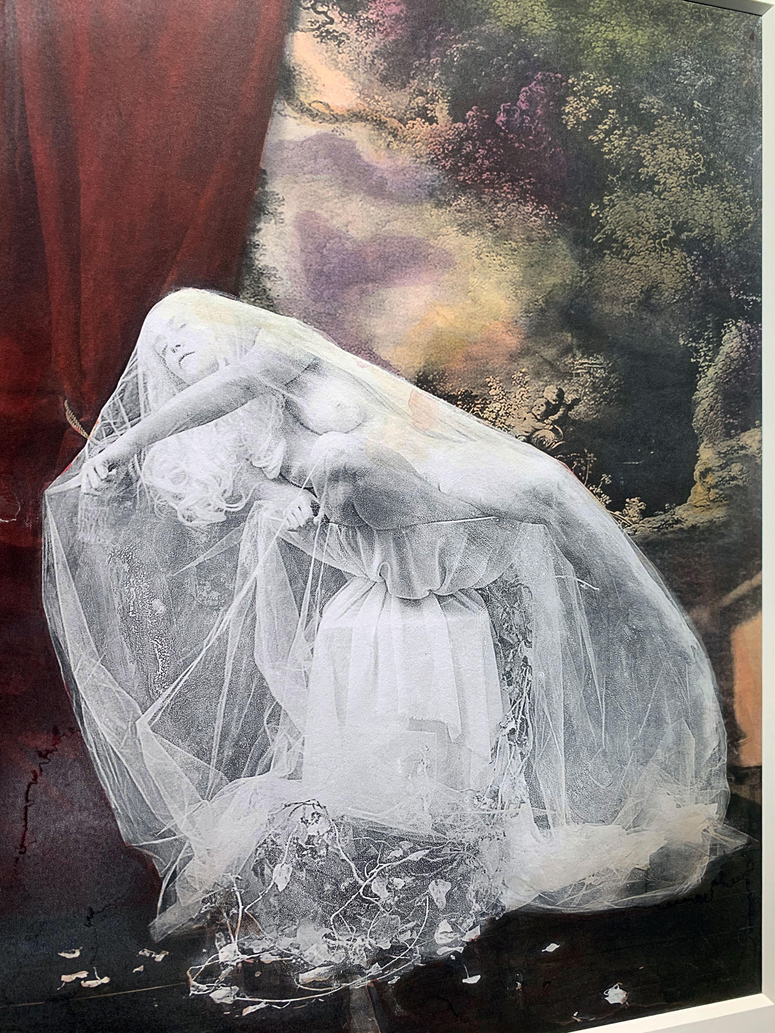 Cleansing A Shrike/ Blackbird's Bath - Hand coloured Print in Walnut frame For Sale 5