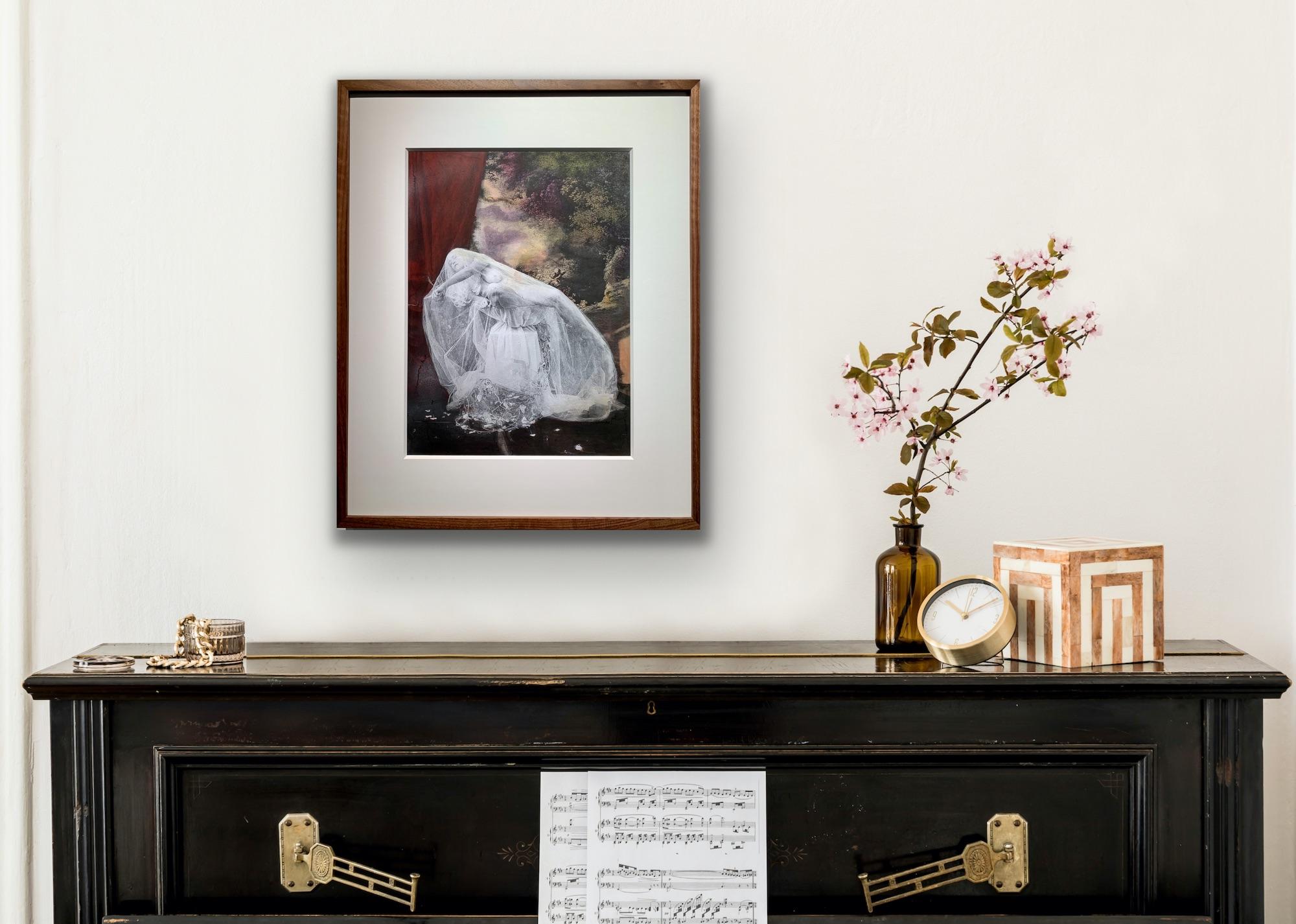 Cleansing A Shrike/ Blackbird's Bath - Hand coloured Print in Walnut frame For Sale 4