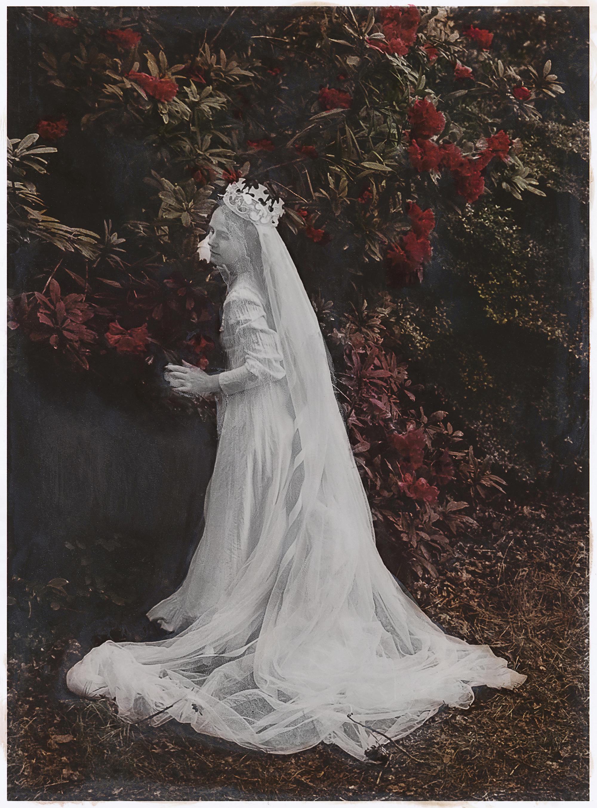 Katie Eleanor Color Photograph - Regal monarch immobilised in marble with her reigning celebrated the blooms