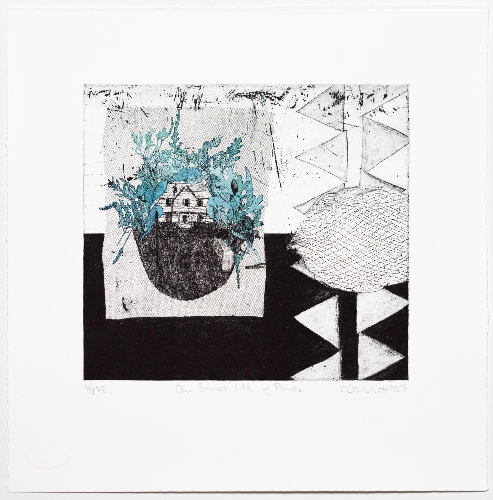 „The Secret Life of Plants VE 6/8“ Intaglio, handkoloriert, Haus, Blätter im Angebot 5
