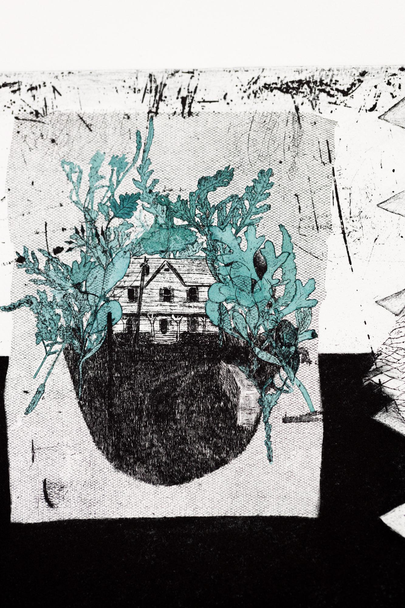 „The Secret Life of Plants VE 7/8“ Intaglio, handkoloriert, Haus, Blätter – Print von Katie VanVliet