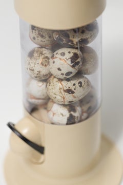"Candy Everybody Wants", Found object assemblage, Reconstructed eggs