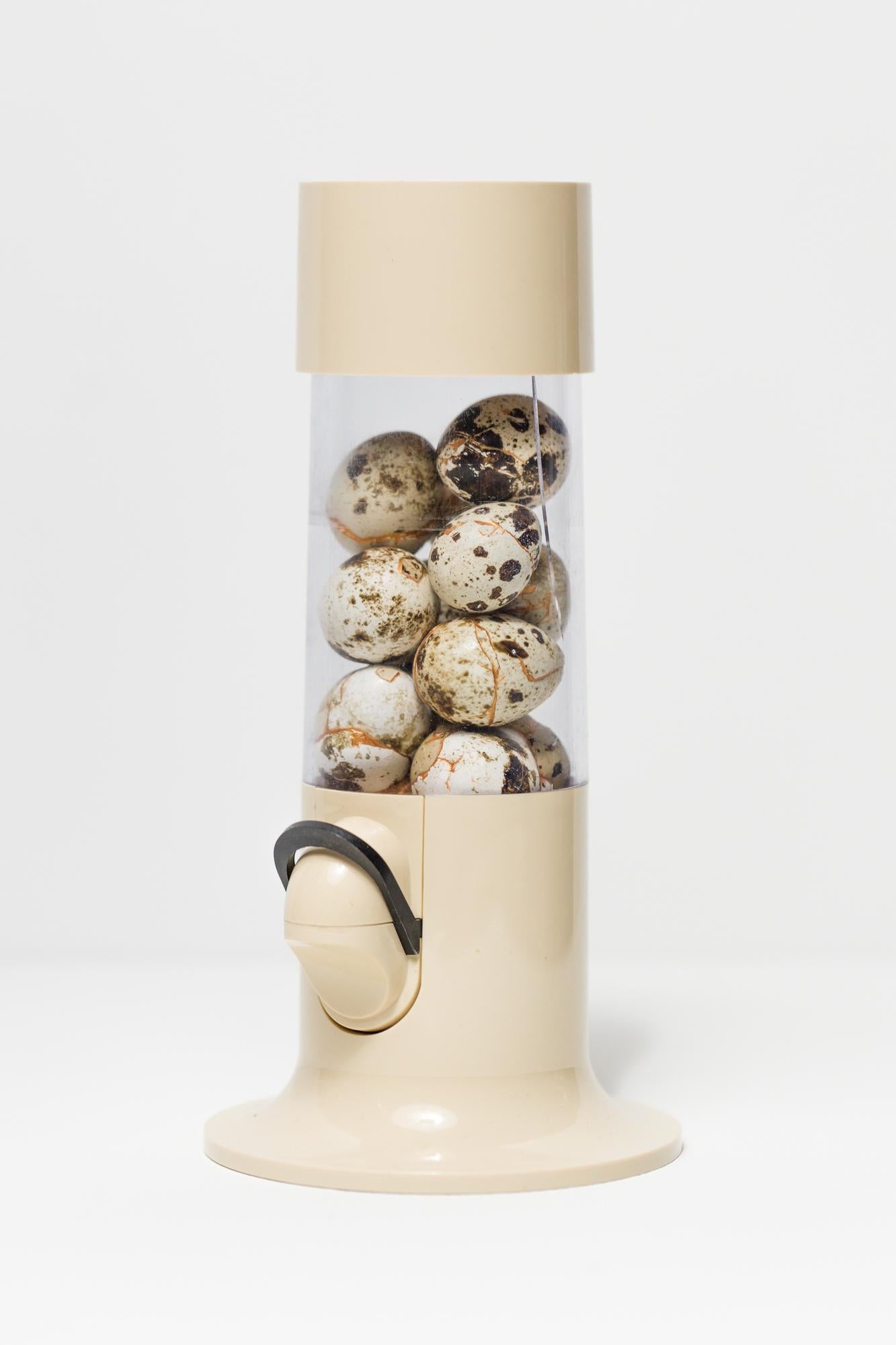Katie VanVliet Still-Life Sculpture - "Candy Everybody Wants", Found object assemblage, Reconstructed eggs