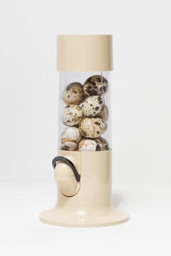 "Candy Everybody Wants", Found object assemblage, Reconstructed eggs