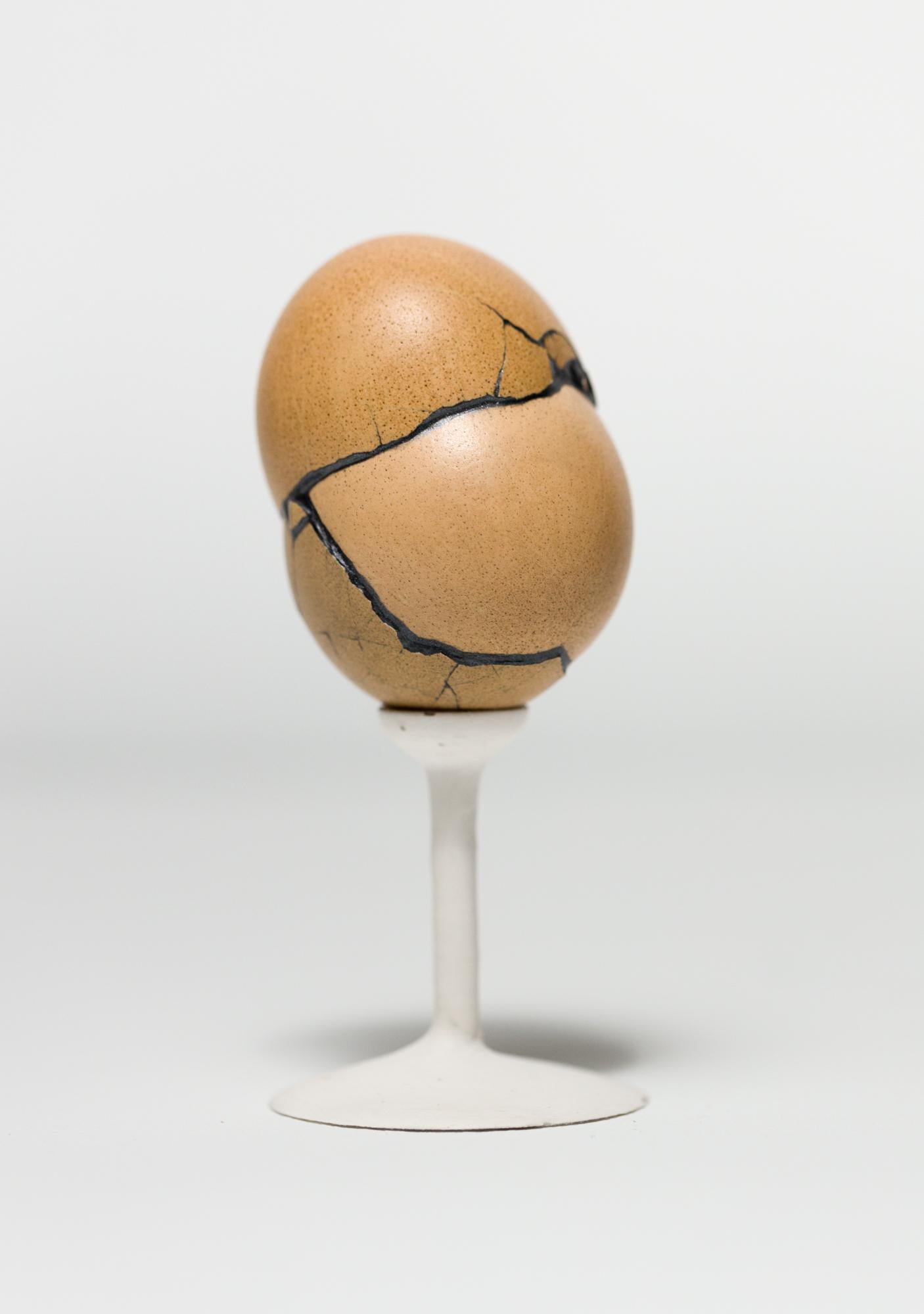 "Chimaera: Brown #2", Found Object Sculpture, Egg Motif