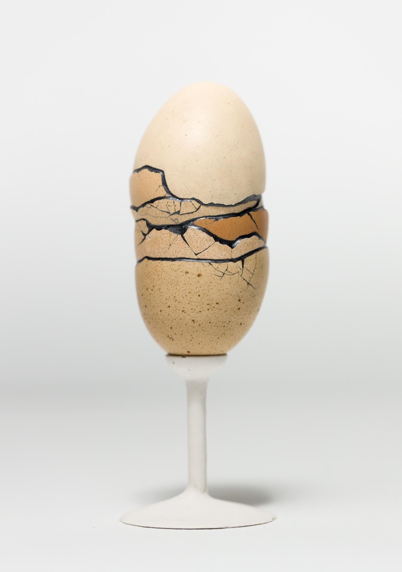 "Chimaera: Brown #4", Reconstructed egg sculpture - Mixed Media Art by Katie VanVliet