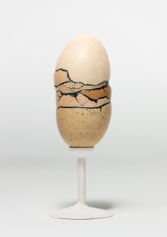"Chimaera: Brown #4", Reconstructed egg sculpture