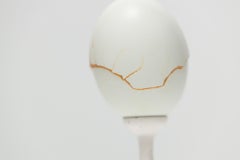 "Quimera: Verde nº 11", Escultura de huevo reconstruida