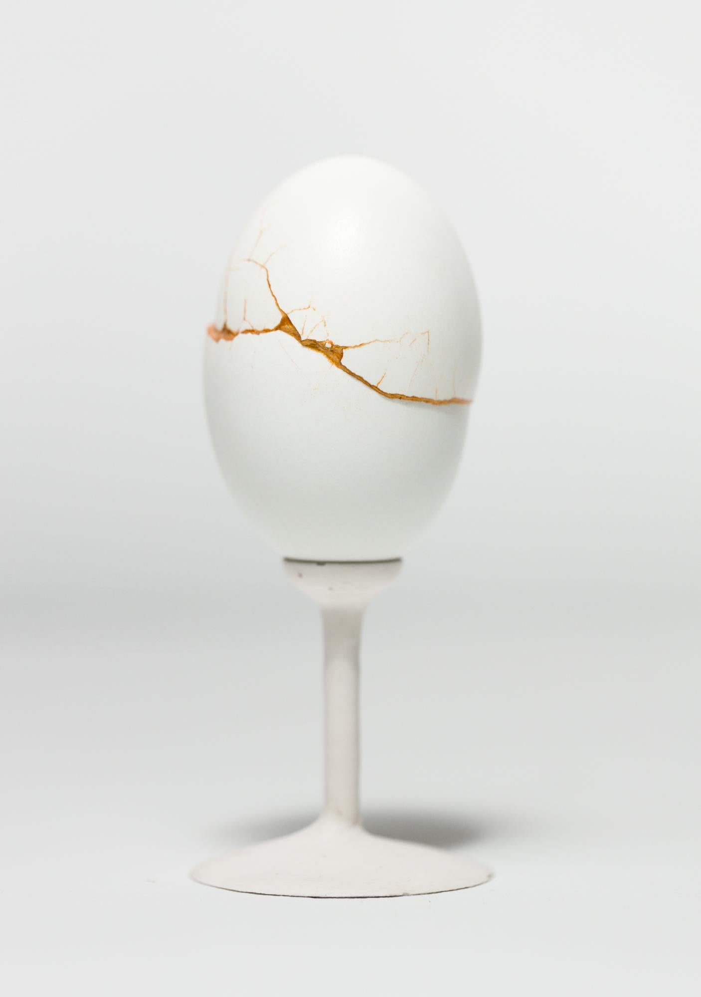 "Chimaera: Green #8", reconstructed egg sculpture