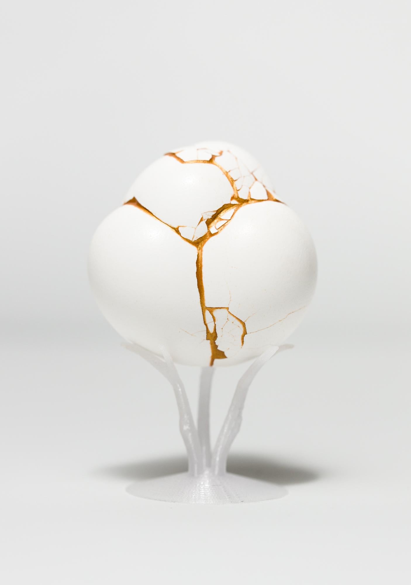 Katie VanVliet Still-Life Sculpture - "Chimaera: White #2", Found Object Sculpture, Egg Motif