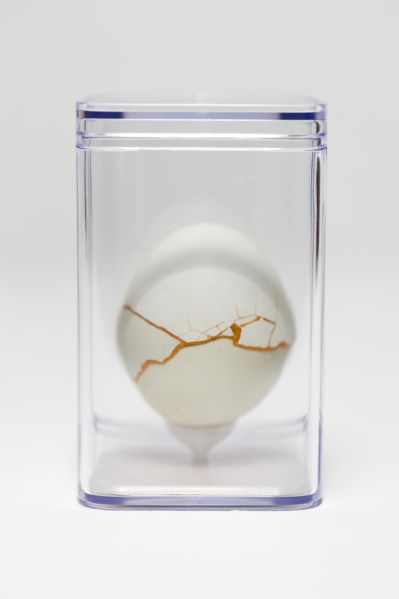 Katie VanVliet Still-Life Sculpture - "Day in the Life: Chimaera #16", Found Object Sculpture, Egg Motif
