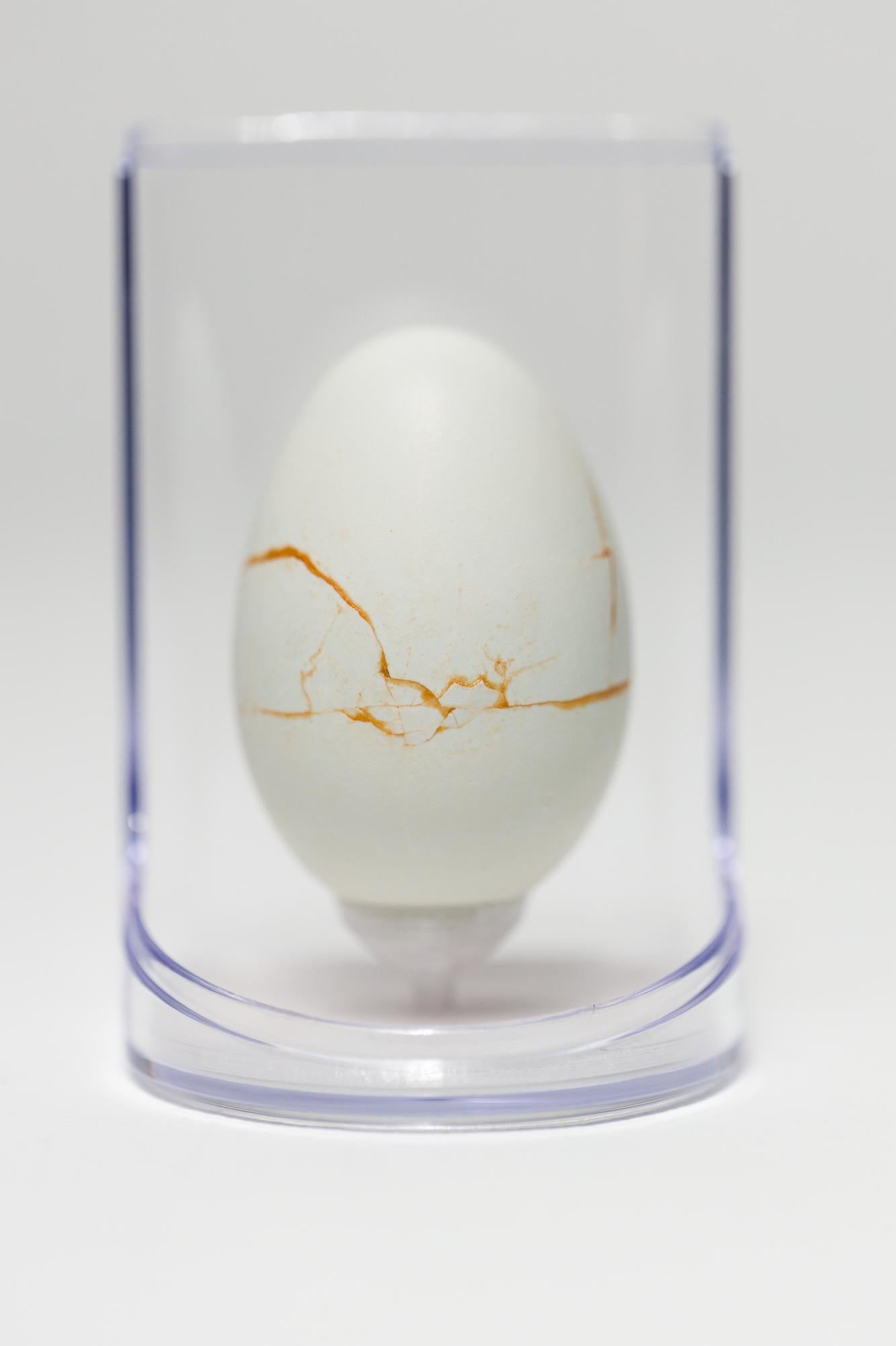 "Day in the Life: Green #29", Found Object Sculpture, Egg Motif - Mixed Media Art by Katie VanVliet