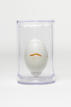 "Day in the Life : Greene & Greene #40", Objects for Objects Founds, Egg Motif