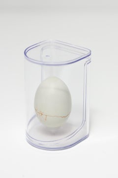 "Un día en la vida: Verde nº 82", escultura de huevo reconstruida