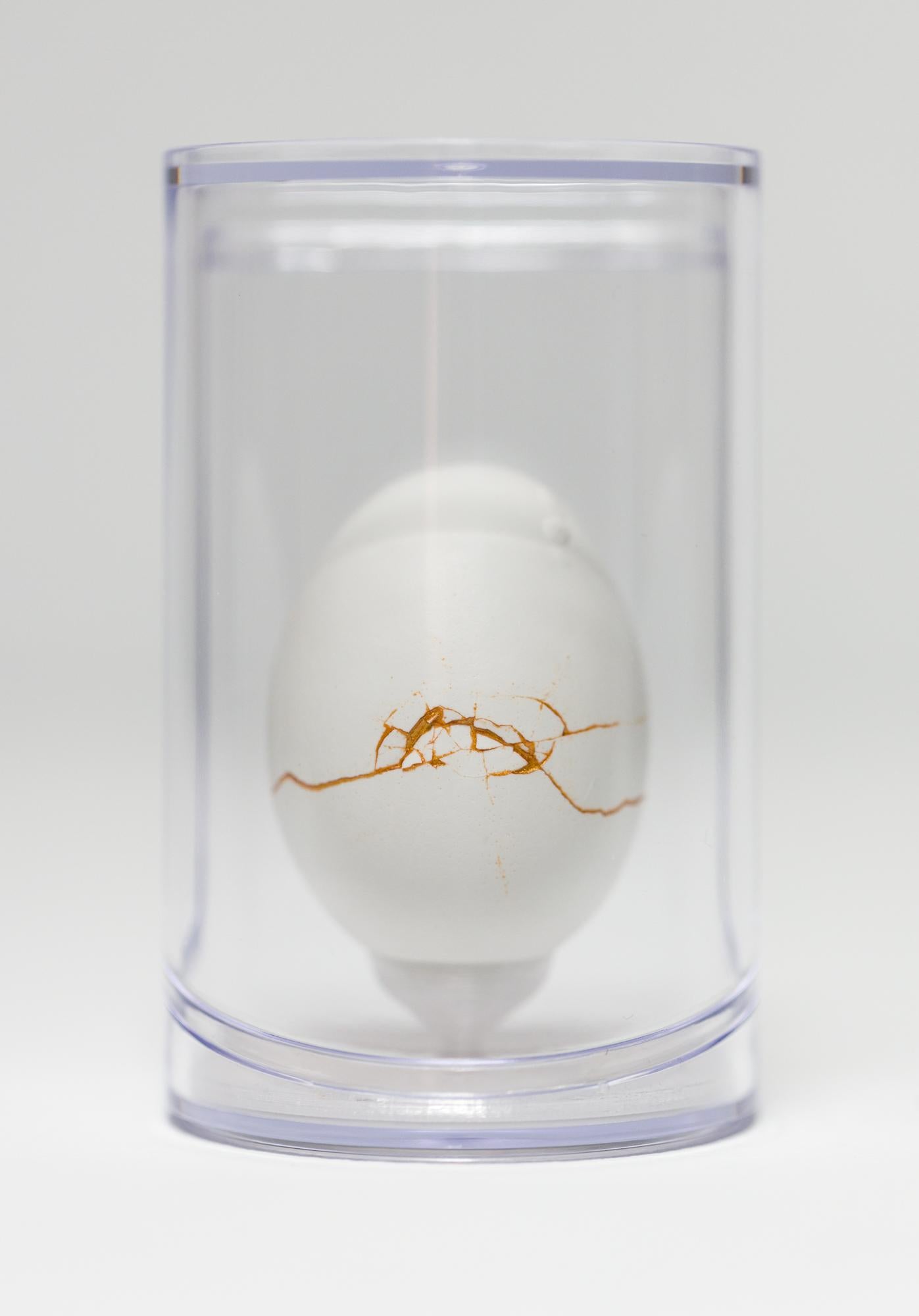 "Day in the Life : Greene & Greene #90", Objects for Objects Founds, Egg Motif