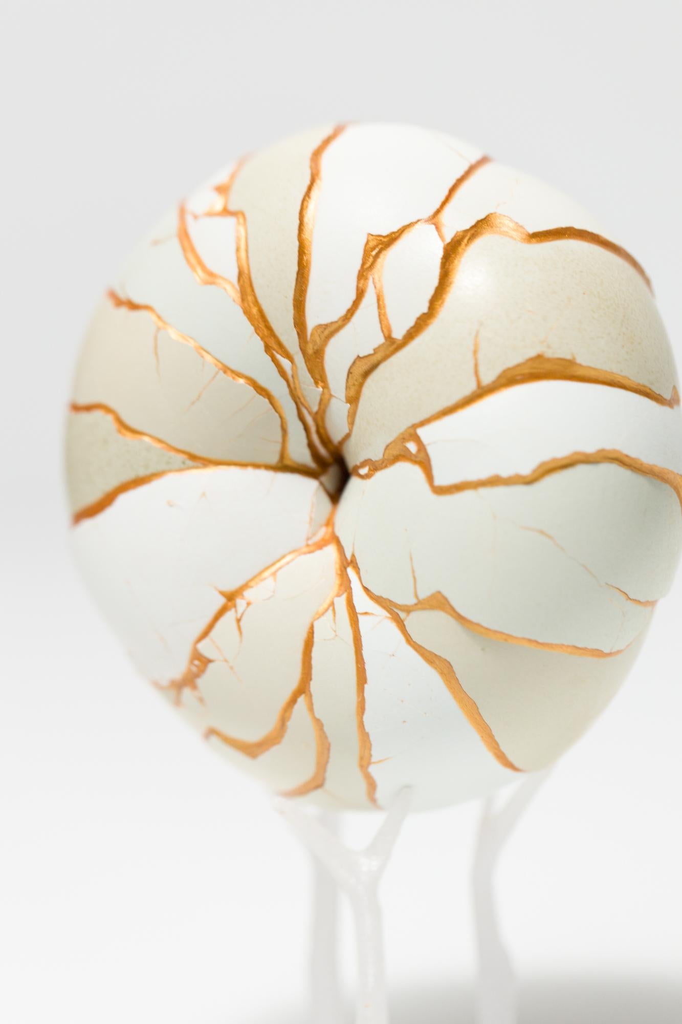 „Donut (Mint)“, rekonstruiertes Eierassemblage – Sculpture von Katie VanVliet