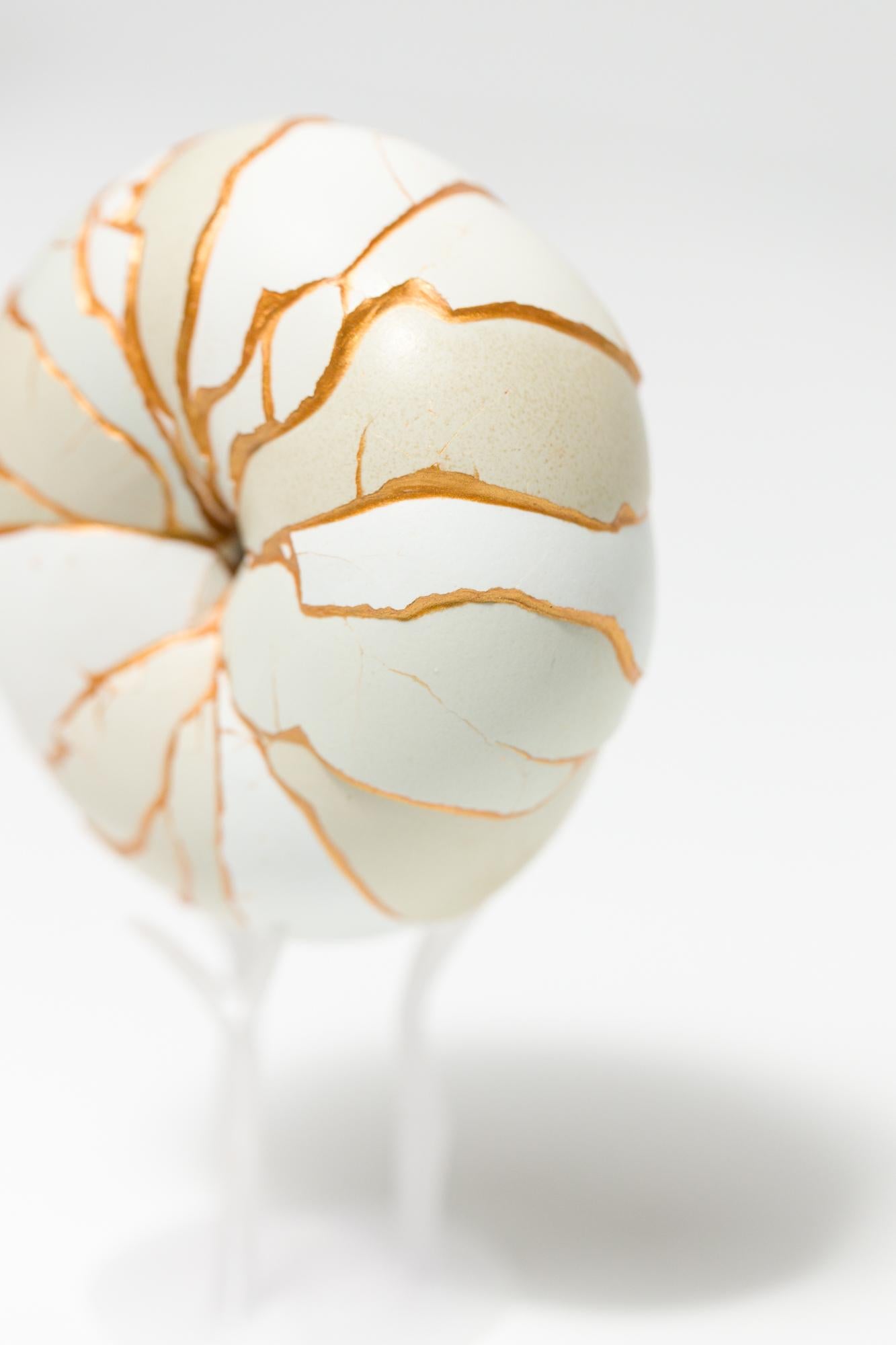 „Donut (Mint)“, rekonstruiertes Eierassemblage im Angebot 1