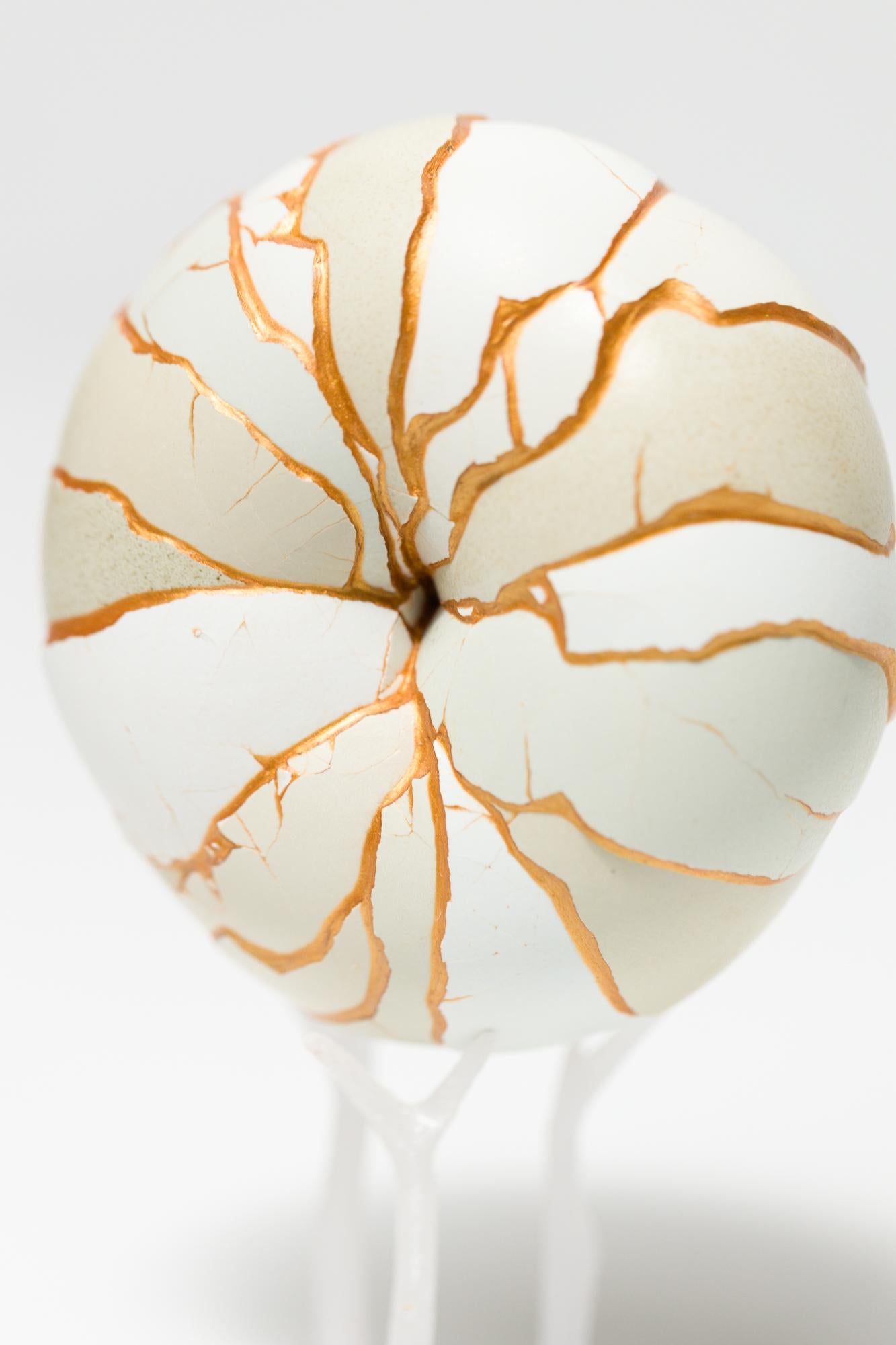 „Donut (Mint)“, rekonstruiertes Eierassemblage im Angebot 3
