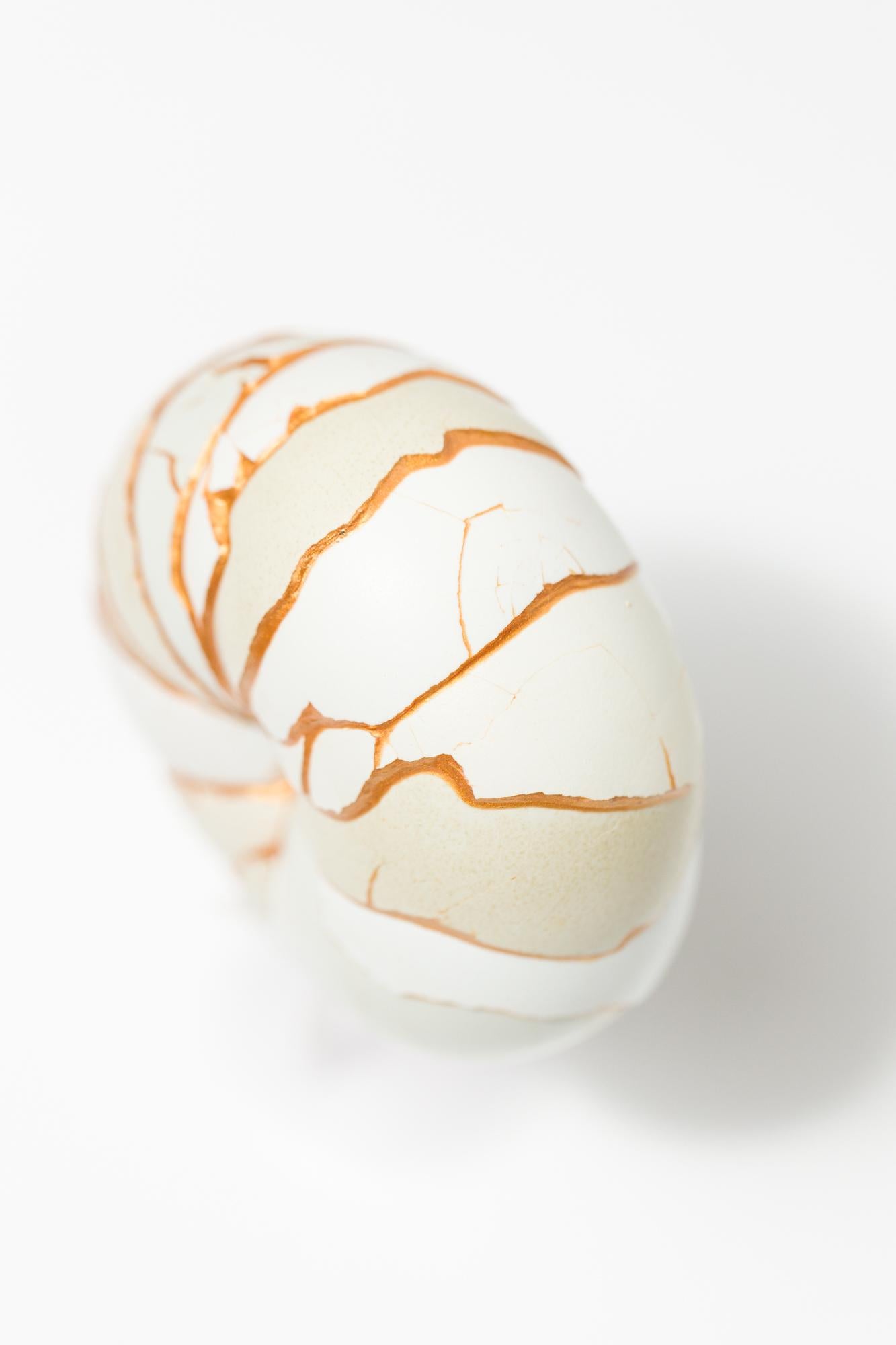 „Donut (Mint)“, rekonstruiertes Eierassemblage im Angebot 4