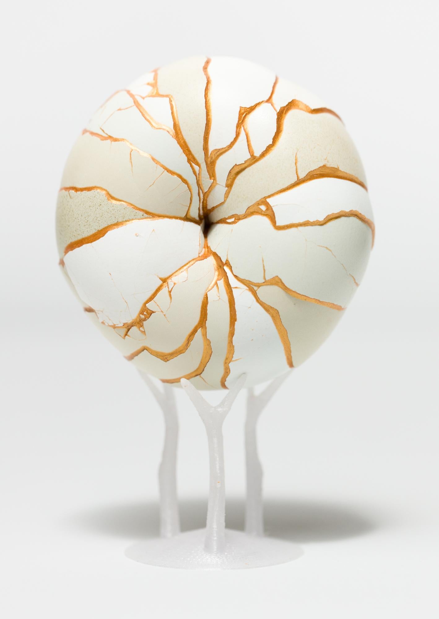 Katie VanVliet Still-Life Sculpture - "Donut (Mint)", reconstructed egg assemblage