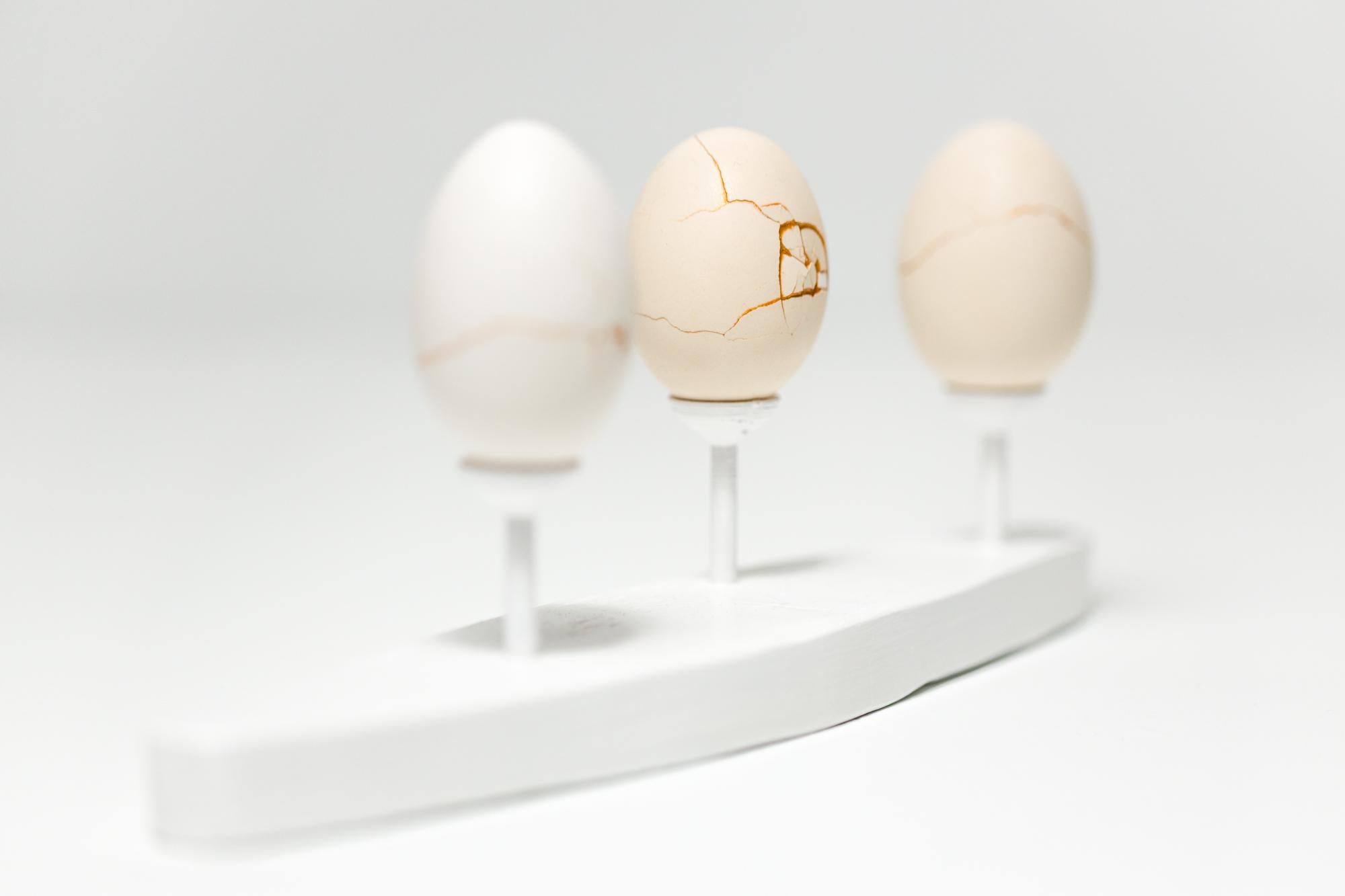 „Egg Canoes: Bantam #1-3“, rekonstruierte Eierskulptur (Zeitgenössisch), Mixed Media Art, von Katie VanVliet