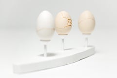 "Egg Canoes: Bantam #1-3", reconstructed egg sculpture
