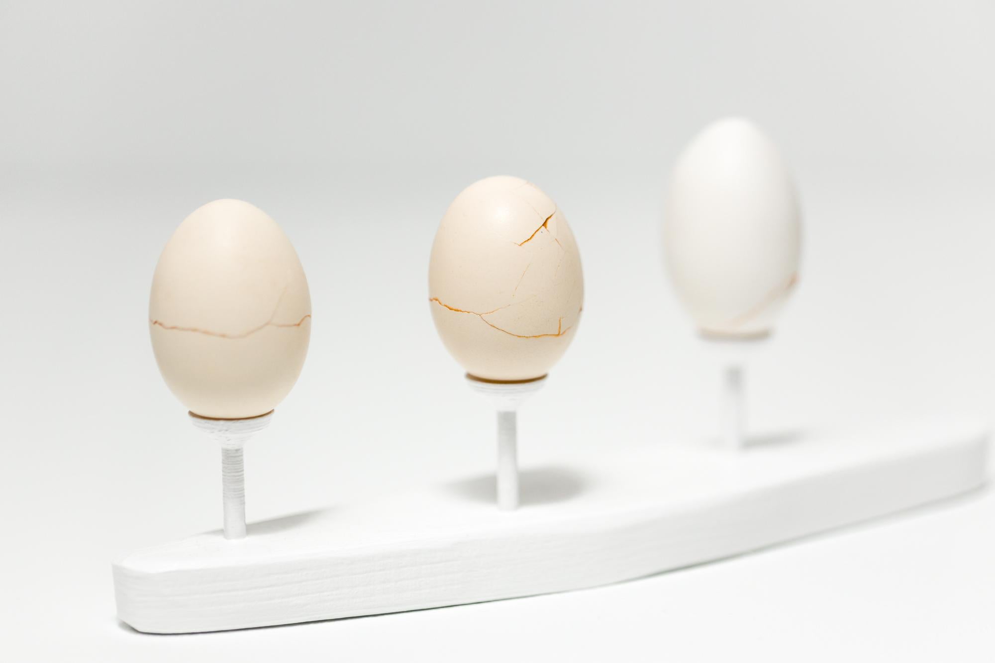 „Egg Canoes: Bantam #1-3“, rekonstruierte Eierskulptur im Angebot 1