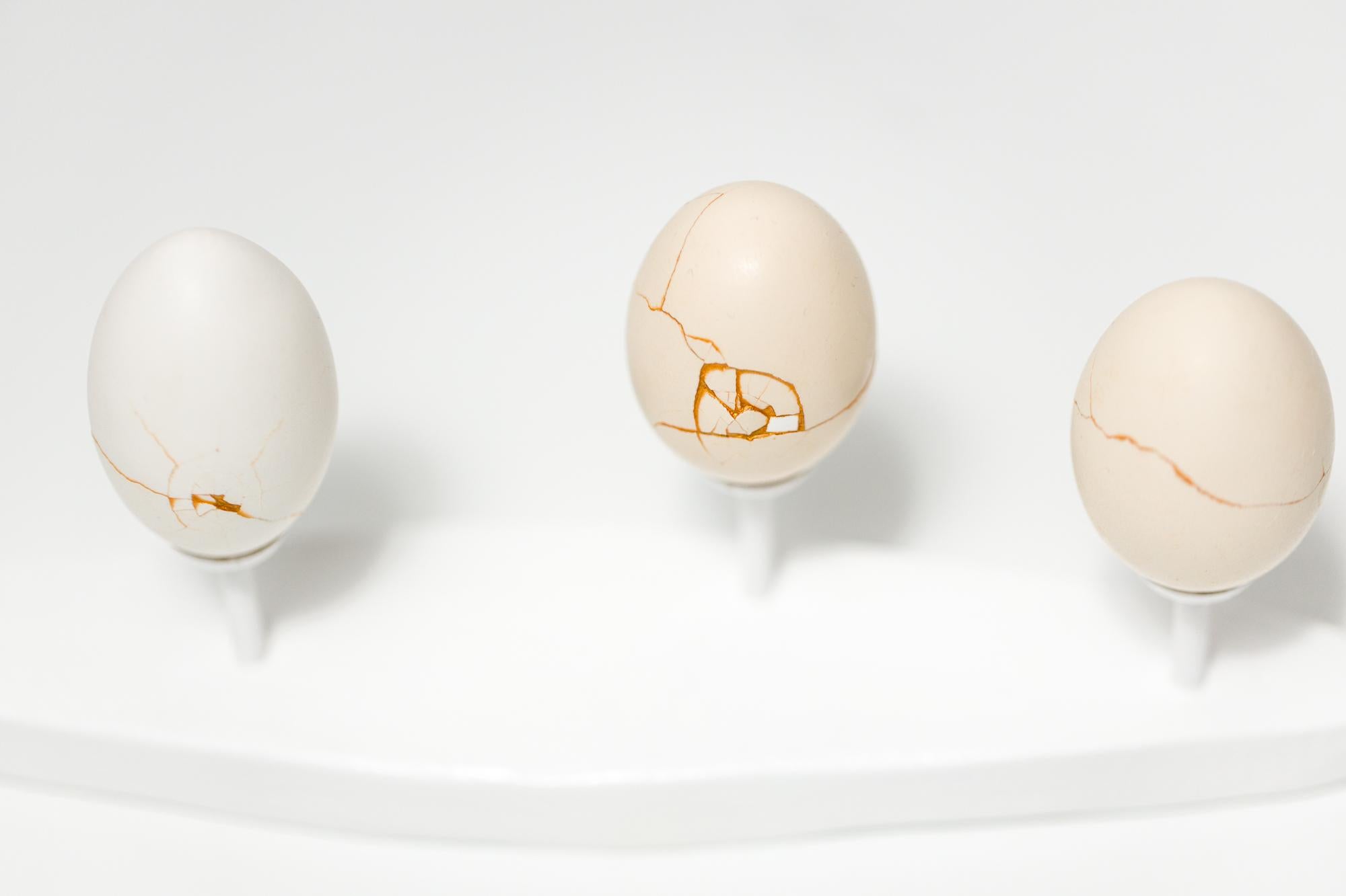 „Egg Canoes: Bantam #1-3“, rekonstruierte Eierskulptur im Angebot 2