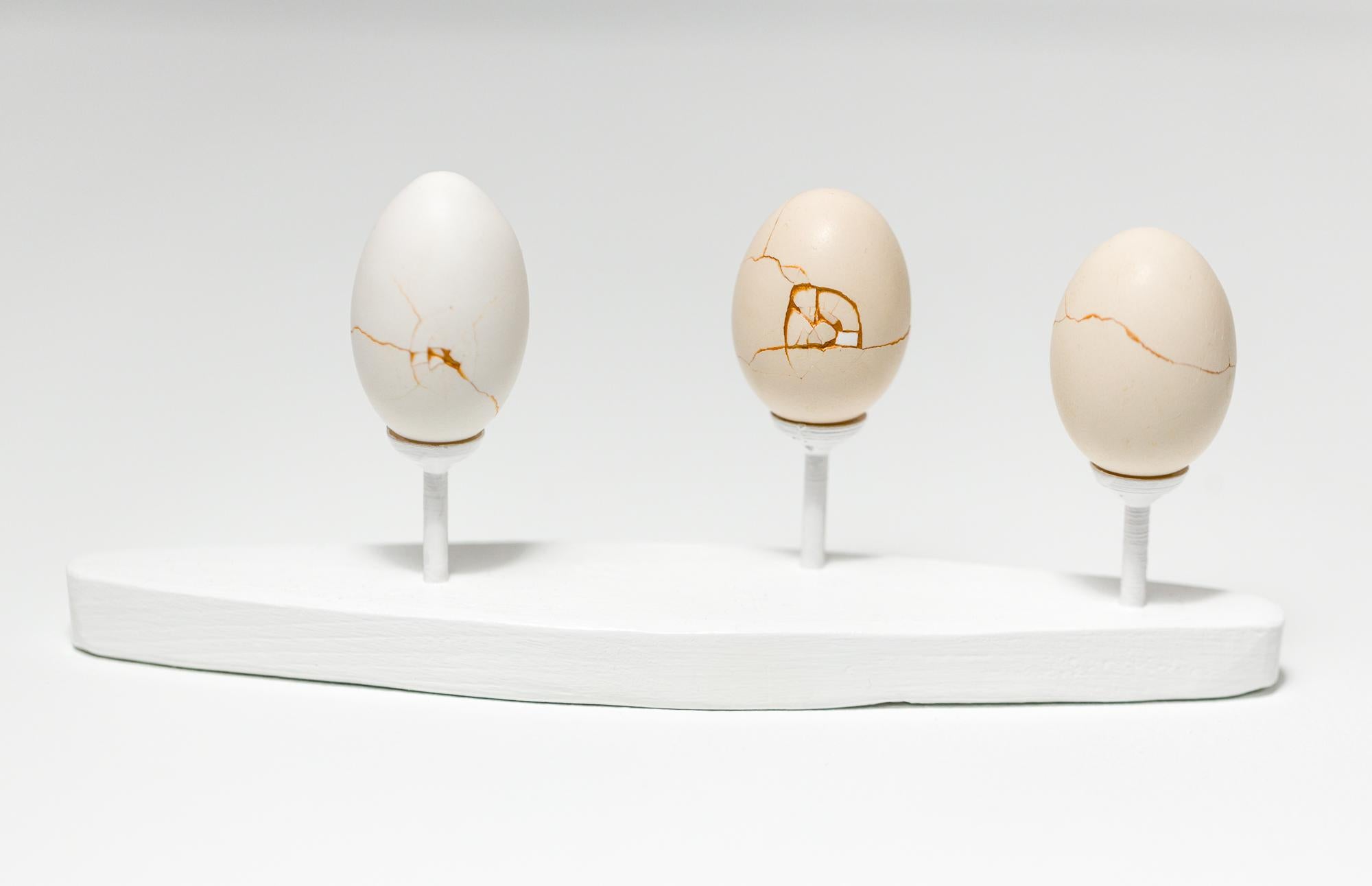 „Egg Canoes: Bantam #1-3“, rekonstruierte Eierskulptur – Mixed Media Art von Katie VanVliet