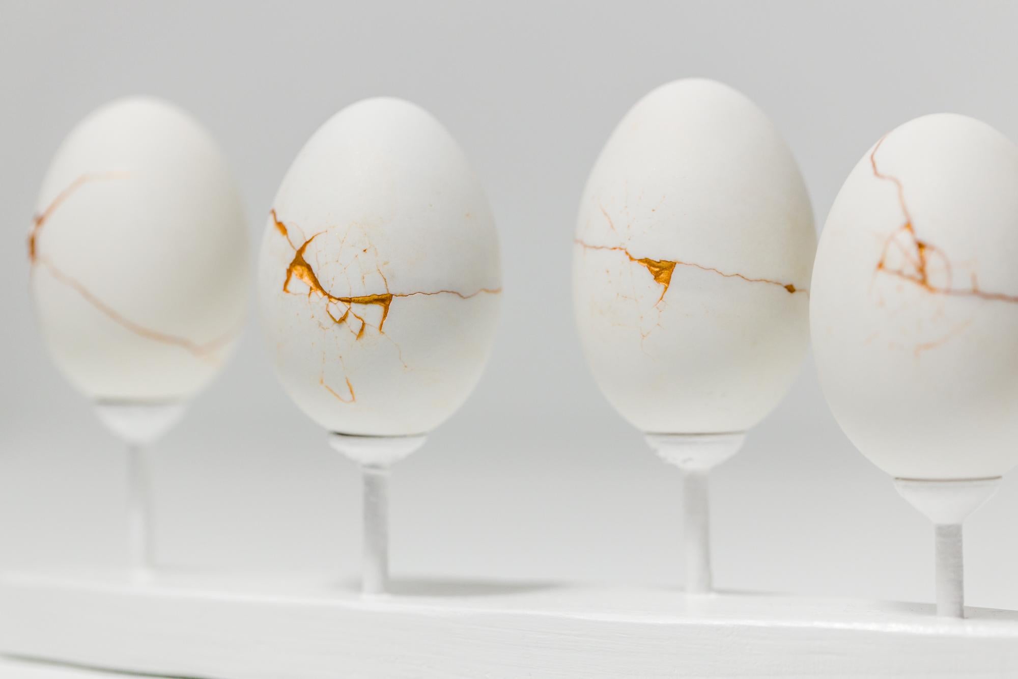 „Egg Canoes: Duck #12-15“, Fundstück-Skulpturen, Ei-Motiv  (Zeitgenössisch), Mixed Media Art, von Katie VanVliet