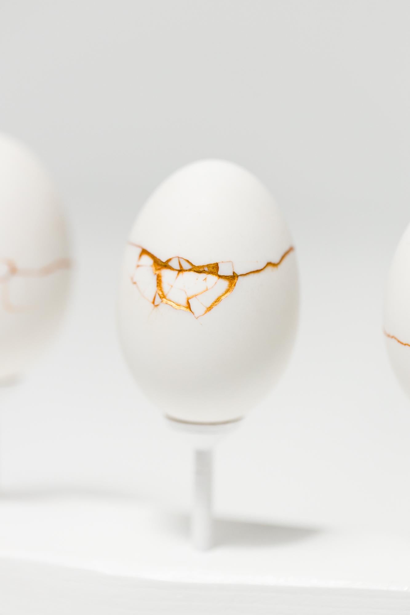 „Egg Canoes: Duck #5-8“, rekonstruierte Eierassemblage im Angebot 1