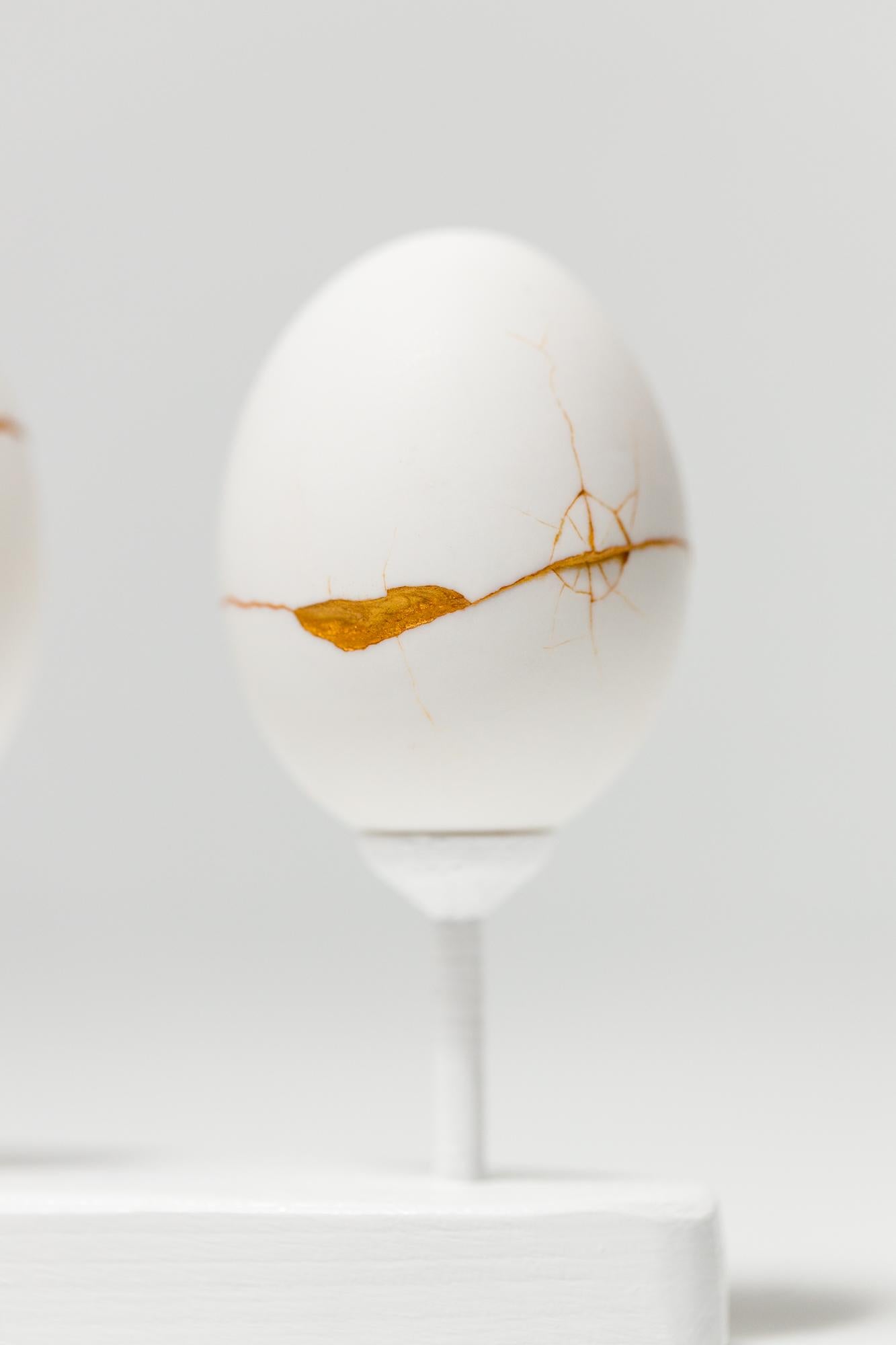 „Egg Canoes: Duck #5-8“, rekonstruierte Eierassemblage im Angebot 2