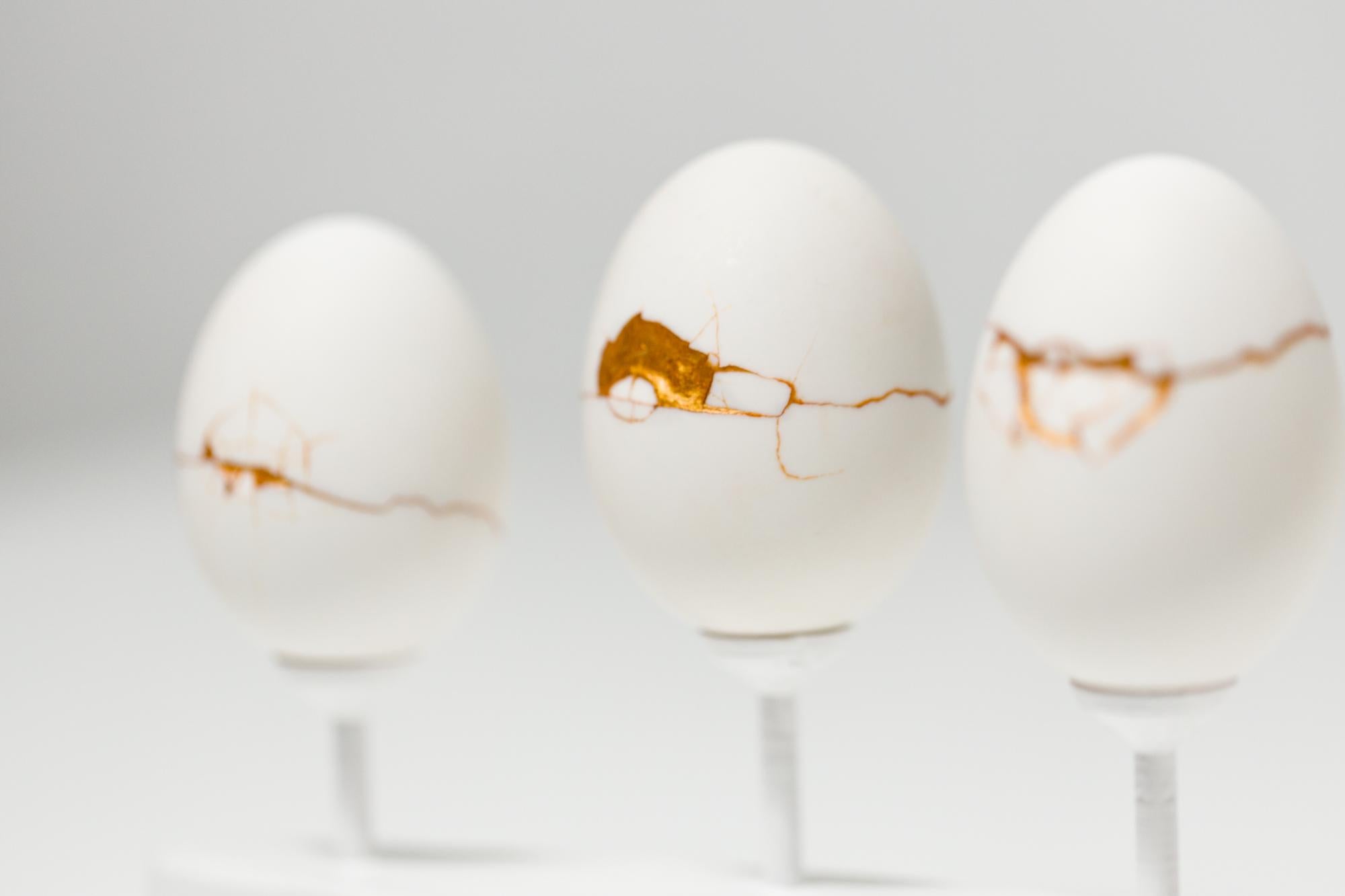„Egg Canoes: Duck #5-8“, rekonstruierte Eierassemblage im Angebot 3