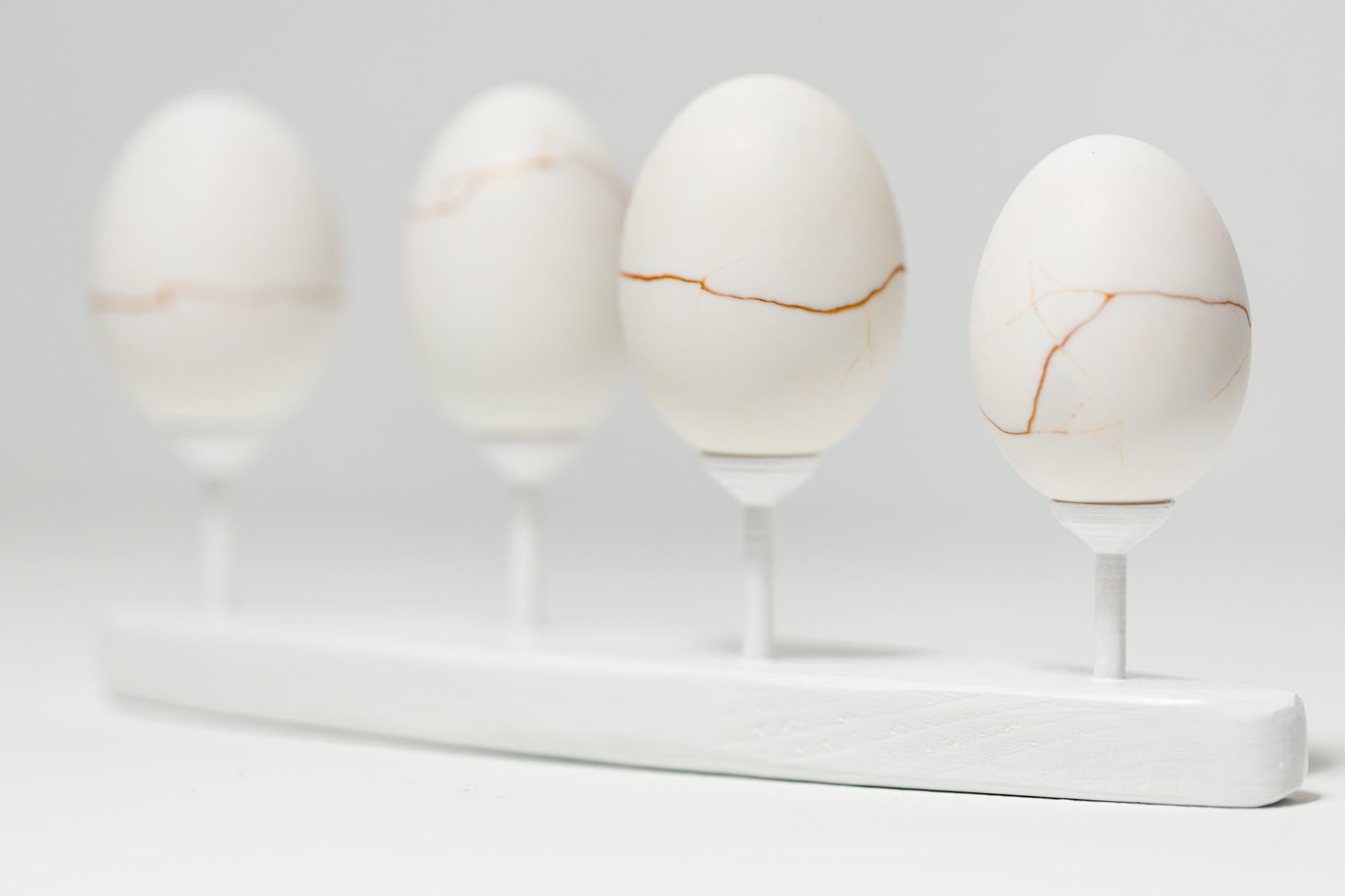 „Egg Canoes: Duck #5-8“, rekonstruierte Eierassemblage im Angebot 4