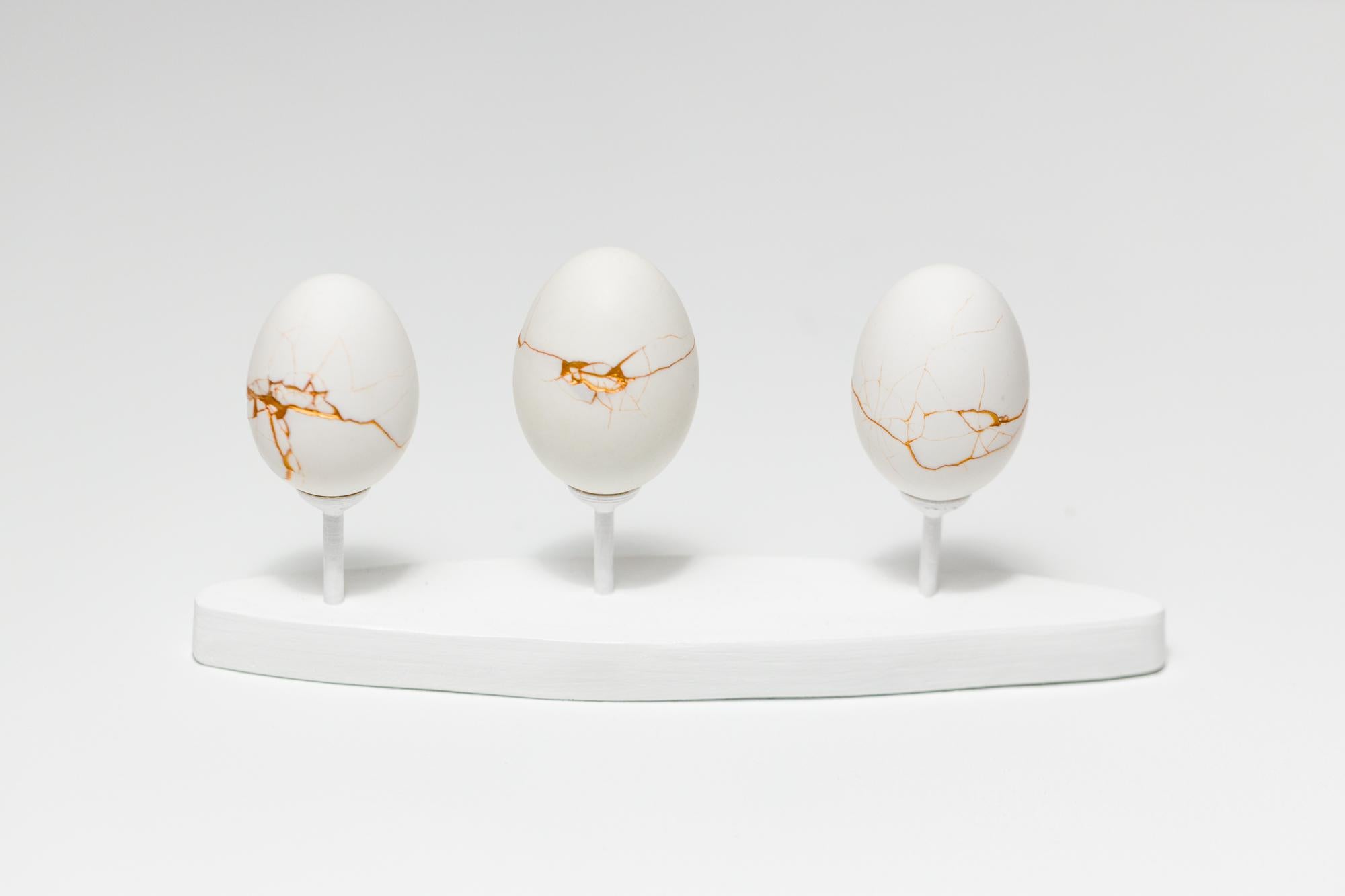 "Egg Canoes: Duck #9-11", Found Object Sculpture, Egg Motif