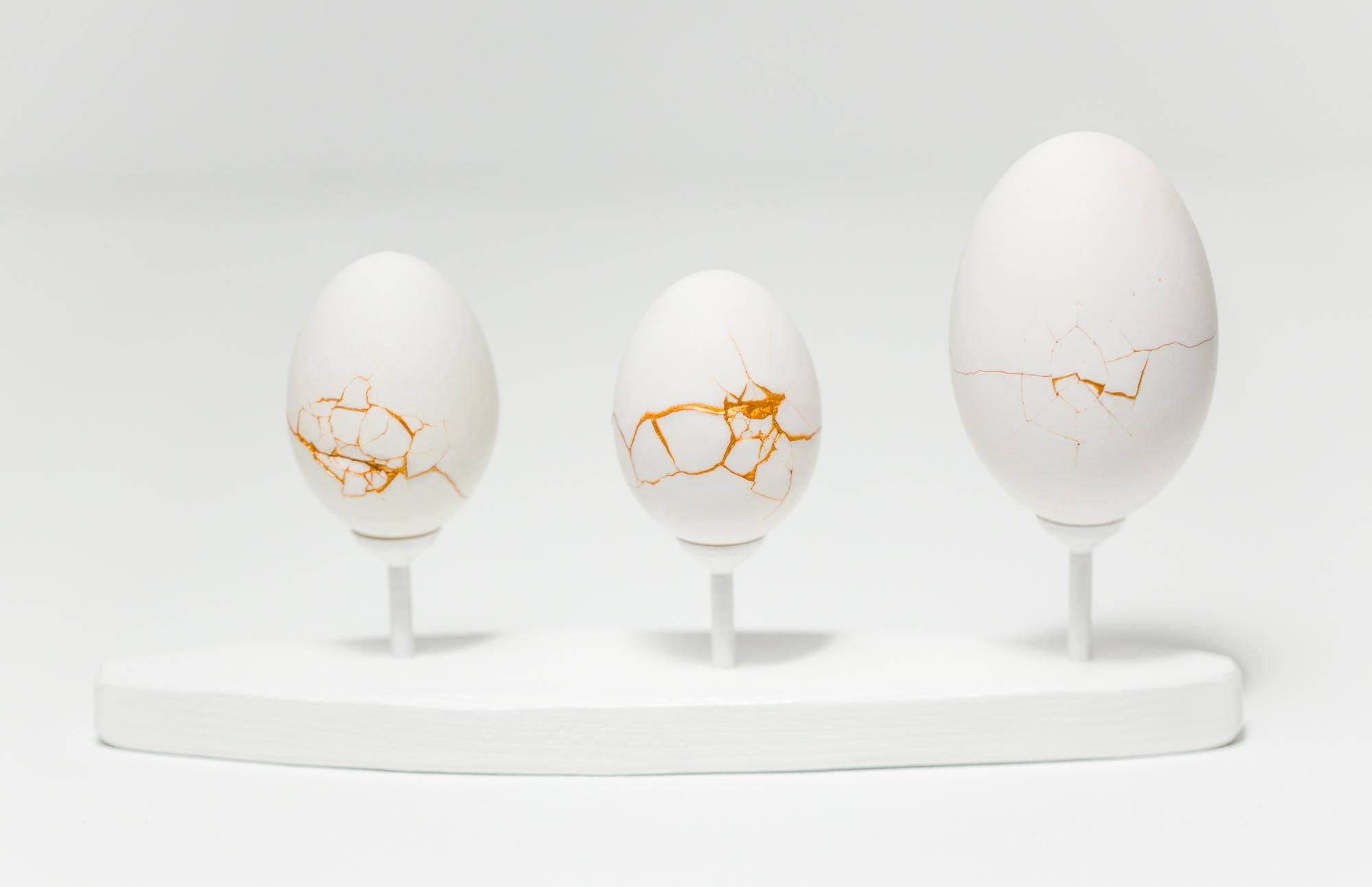 "Egg Canoes: Duck, Duck, Goose", Found Object Sculpture, Egg Motif - Mixed Media Art by Katie VanVliet