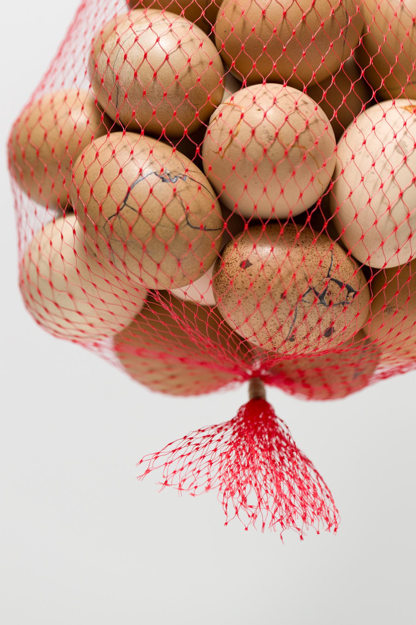 „Expecting to Fly“, Fundstück-Assemblage, rekonstruiertes Ei (Zeitgenössisch), Mixed Media Art, von Katie VanVliet