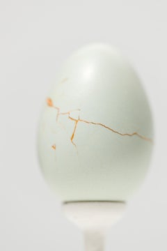 "Linee di faglia: Bantam #B10", Scultura di oggetti trovati, motivo a uovo