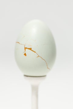 "Fault Lines: Bantam #B4", Reconstructed egg sculpture