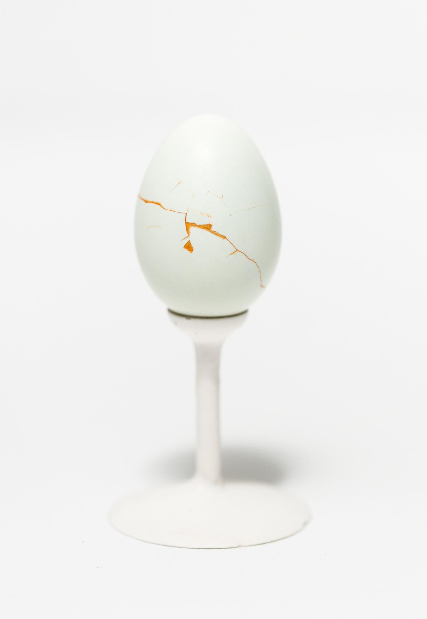 "Líneas de falla: Bantam #B4", Escultura de huevo reconstruida - Mixed Media Art de Katie VanVliet