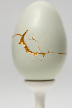 "Fault Lines: Bantam #B7", reconstructed egg sculpture