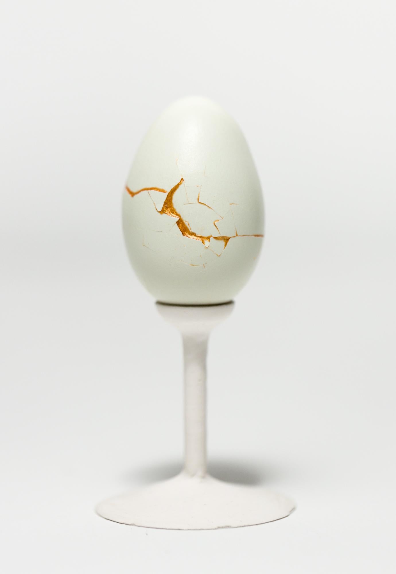 "Fault Lines: Bantam #B7", reconstructed egg sculpture - Mixed Media Art by Katie VanVliet