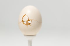 "Linee di faglia: Bantam #B8", Scultura di oggetti trovati, motivo a uovo