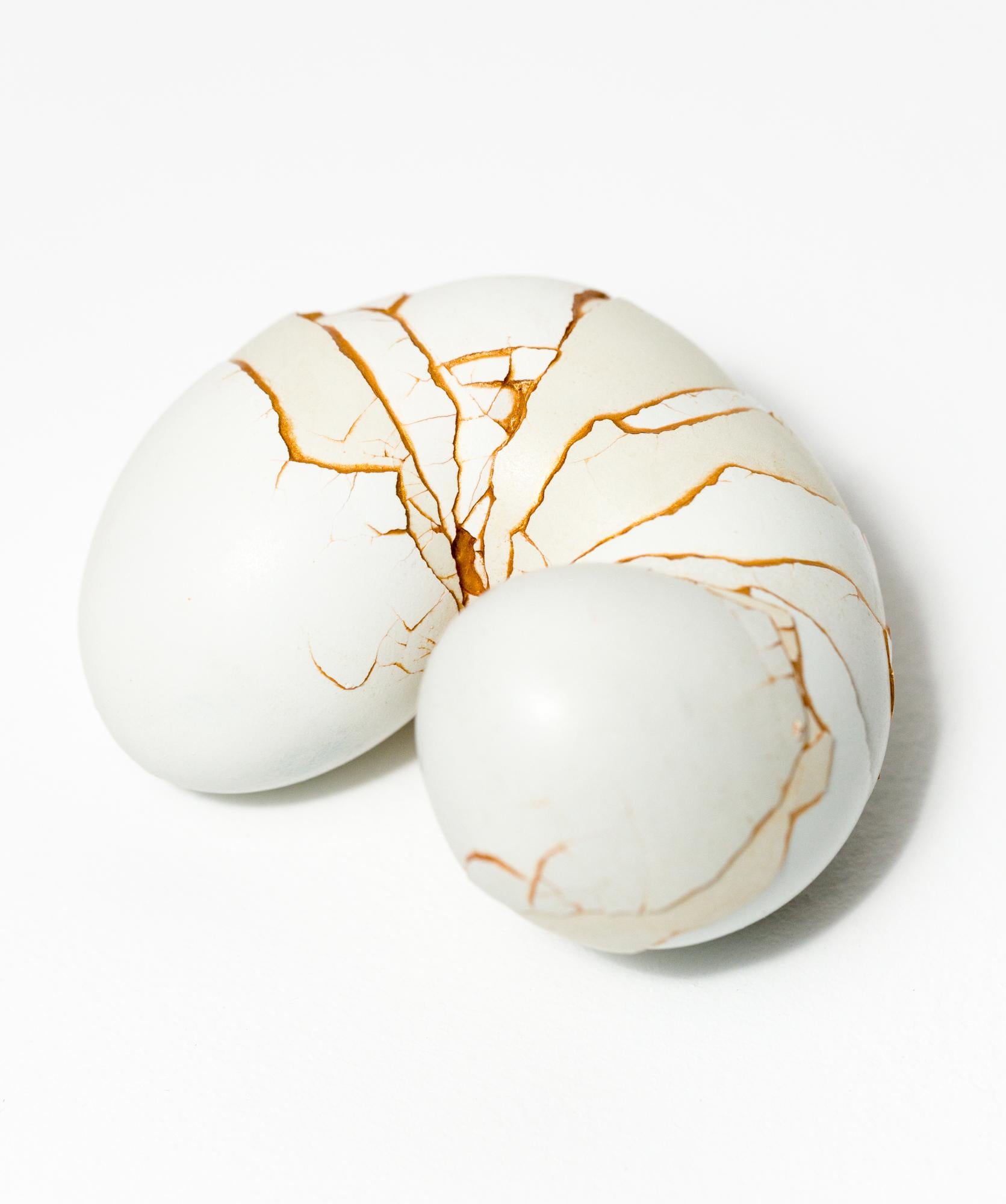 This piece titled "Roly-Poly" is an original piece by Kate VanVliet and is made from eggshells, mica, and PVA. This piece measures 4”h x 3.5”w x 2.5”d.

Kate VanVliet is a sculptor and printmaker practicing from her home studio in Elkins Park, PA,