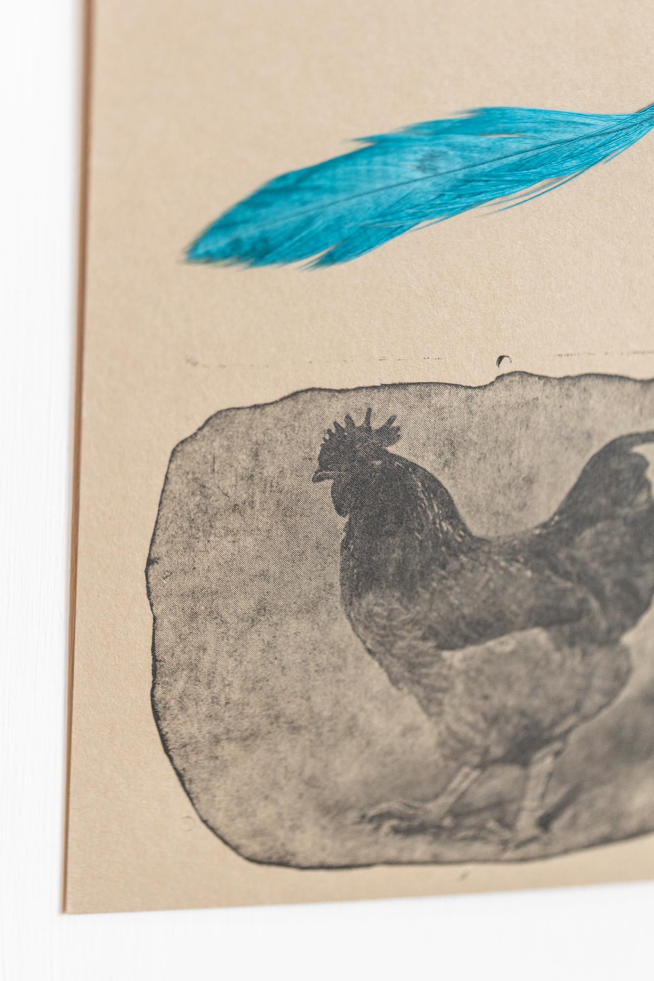 Rooster Totem (Unframed) - Print by Katie VanVliet