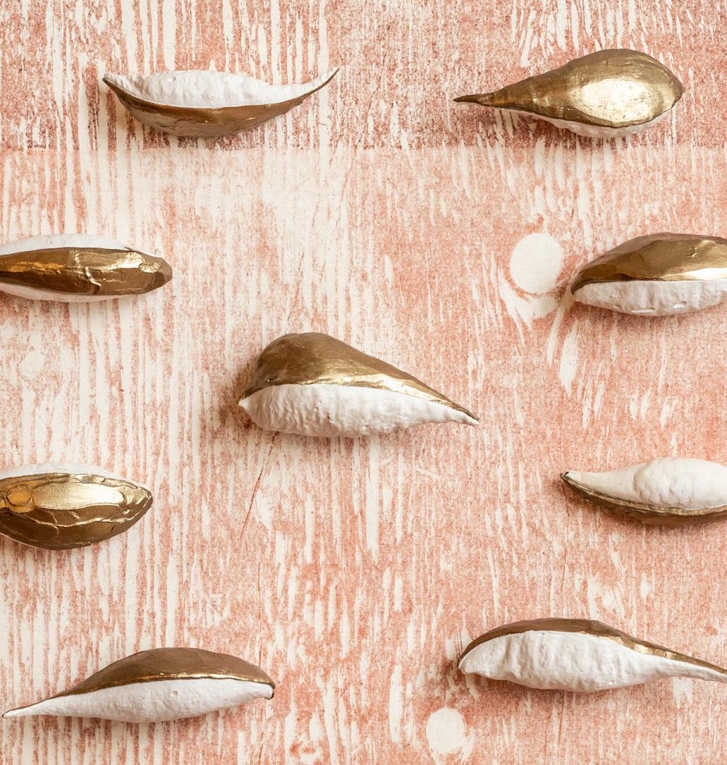 Ten Milkweed Pods For Sale 1